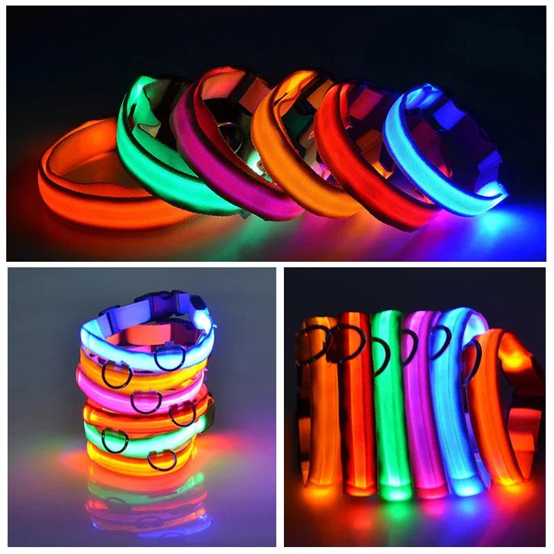 USB Charging LED Dog Collar