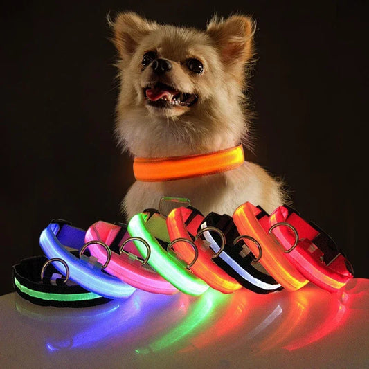 USB Charging LED Dog Collar