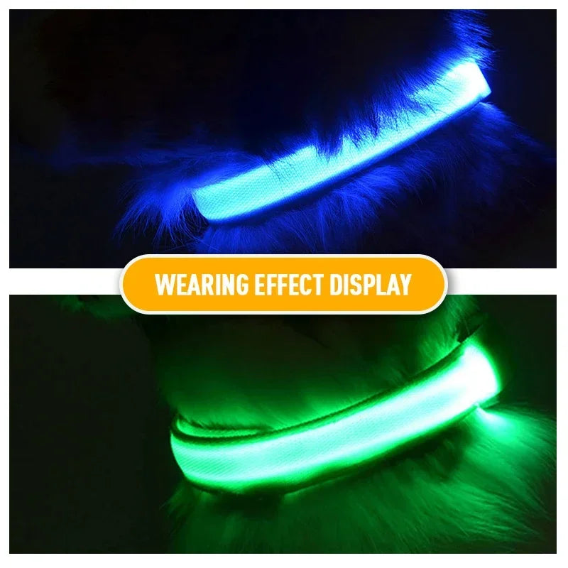 USB Charging LED Dog Collar