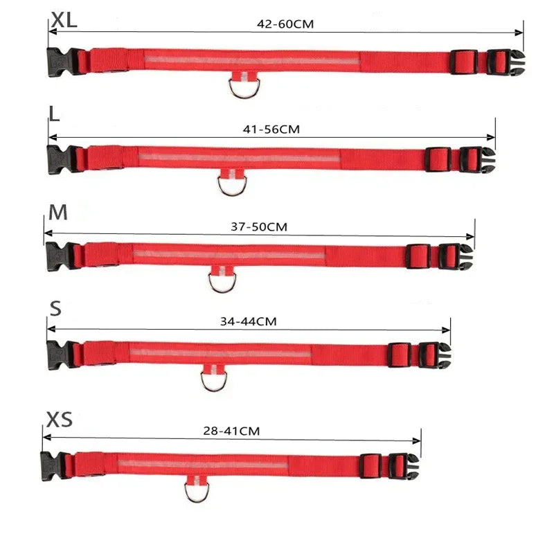 USB Charging LED Dog Collar