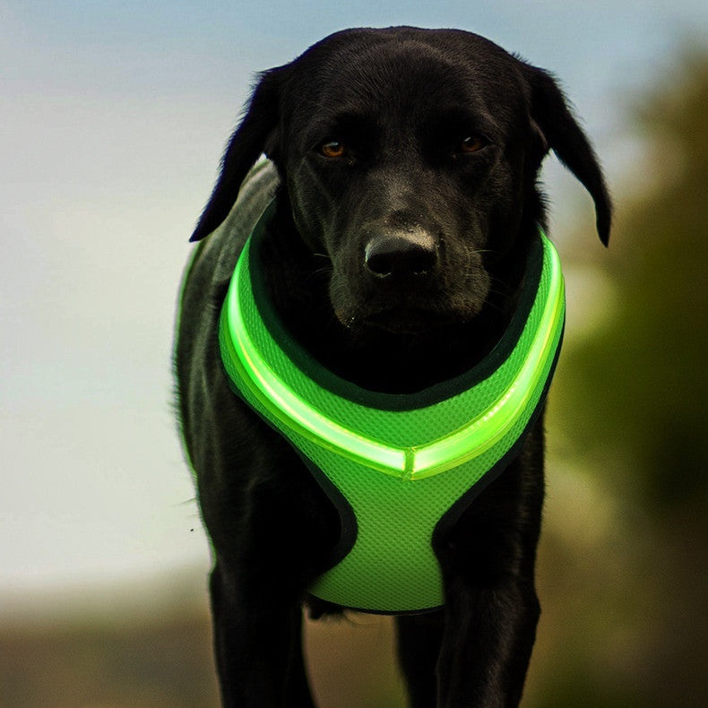 LED Luminous Dog Harness USB Charging