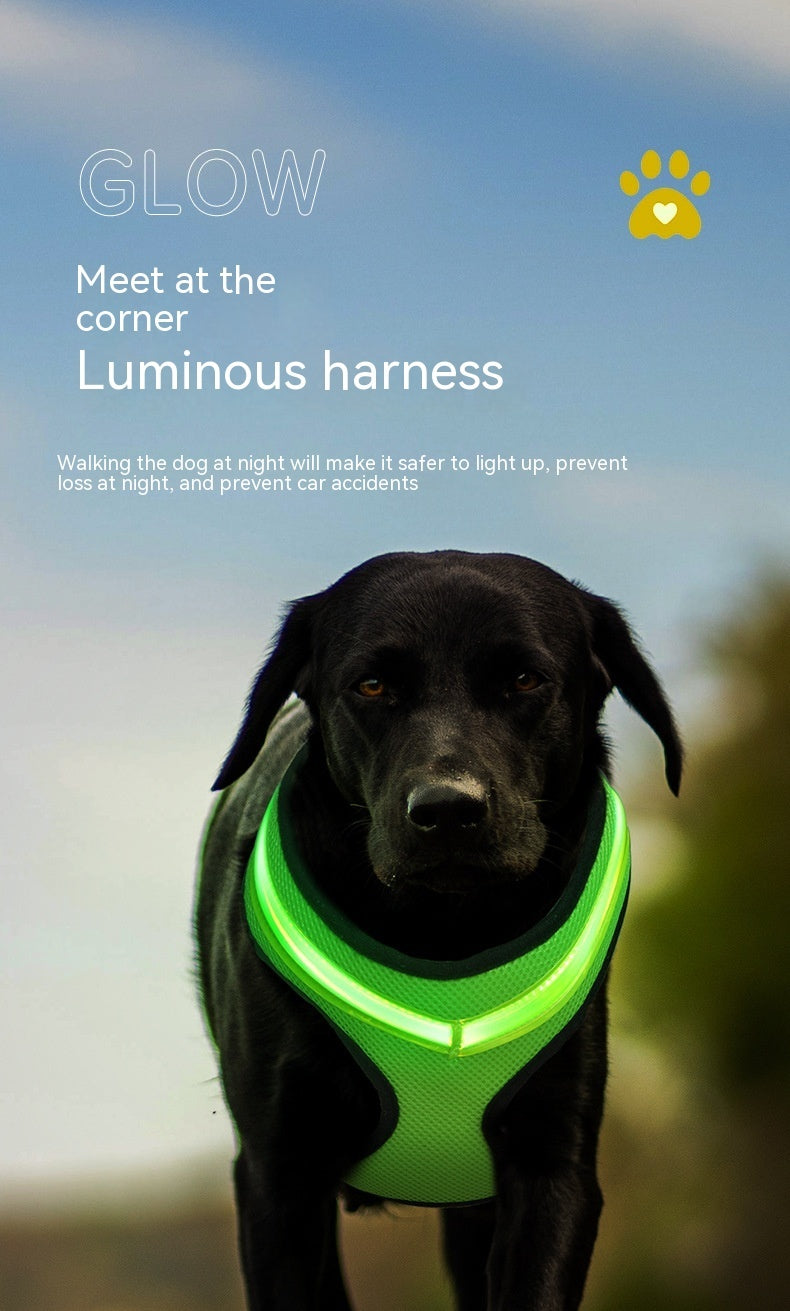 LED Luminous Dog Harness USB Charging